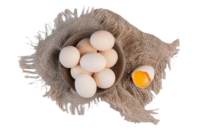 Nati Eggs 6