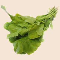 Palak