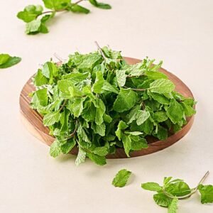 mint-leaves-100-grams
