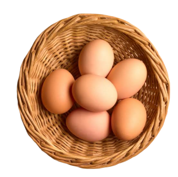Pure Nati eggs / Pack of 6