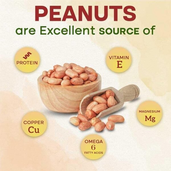Groundnuts /ಕಡಲೆಬೀಜಾ/వేరుశనగ/