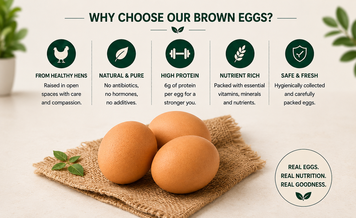 why-choose-our-farm-fresh-brown-eggs