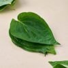 Betel Leaf, 5 Pcs